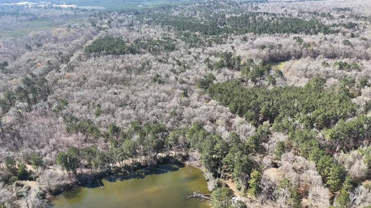 000 County Road 2119, Burkeville, TX 75932 - #1