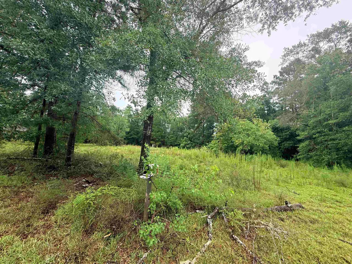 645 Vanderburg St., Kountze, TX 77625 - #1
