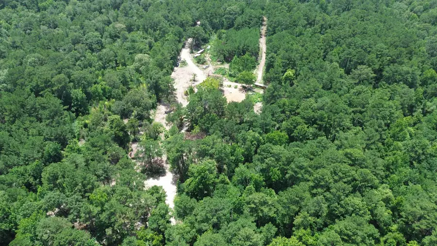 371 CR 4240, Bon Wier, TX 75928 - #3