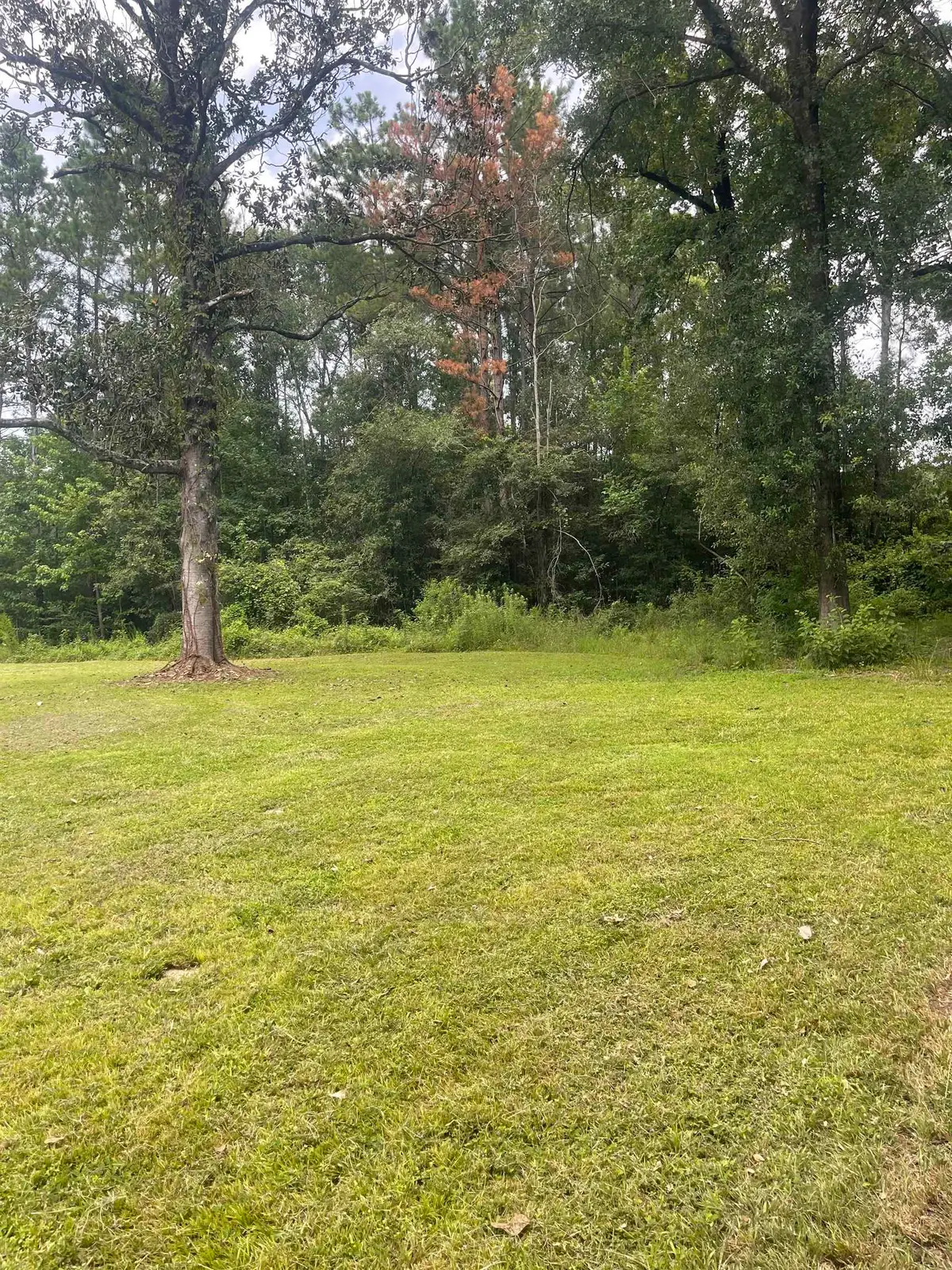 2045 FM 1131, Evadale, TX 77615 - #1