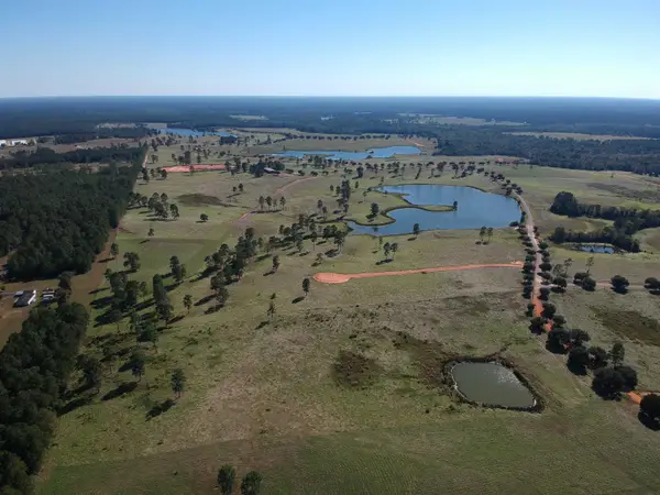 Lot 252 Lakeland Ranch, Hillister, TX 77624-9999