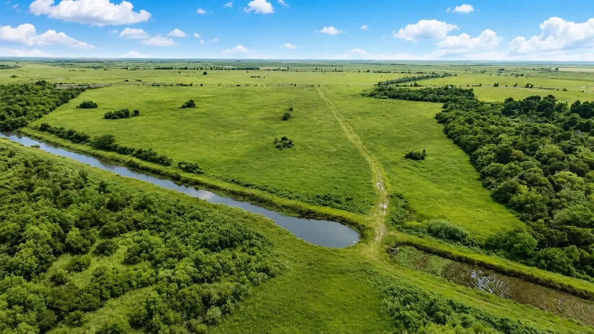 000 FM 1985, Anahuac, TX 77514 - #1