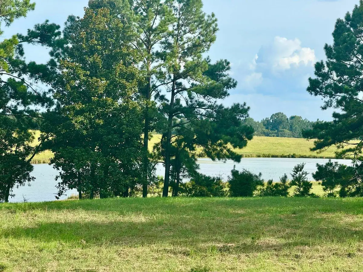 Lot 344 Lakeland Ranch, Hillister, TX 77624-9999 - #1