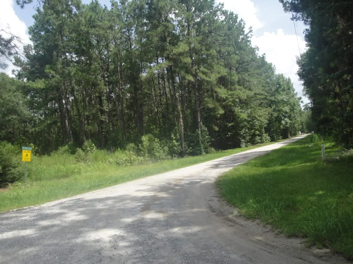 123 905, Buna, TX 77612 - #1