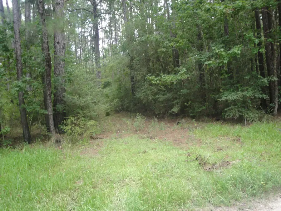 123 905, Buna, TX 77612 - #3