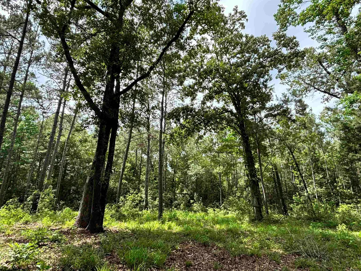000 Peyton Lane, Hillister, TX 77624 - #1