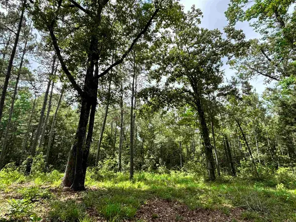 000 Peyton Lane, Hillister, TX 77624