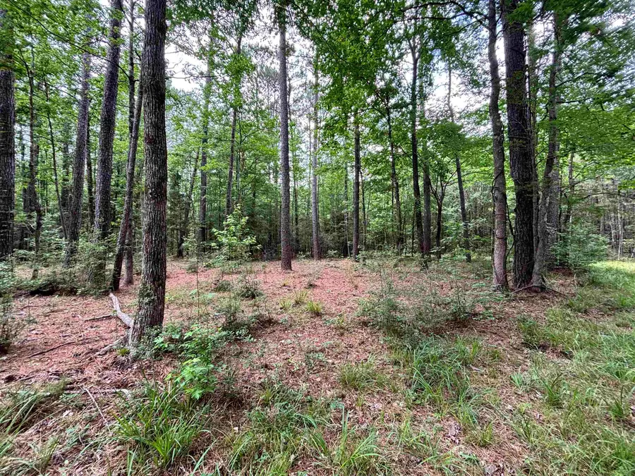 000 Peyton Lane, Hillister, TX 77624 - #3