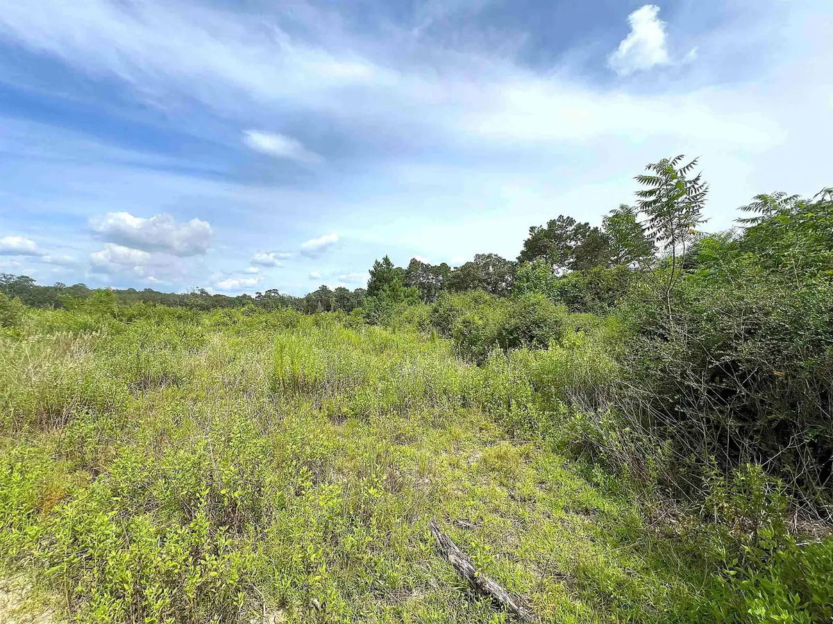 10215 E Gentry Dr, Silsbee, TX 77656 - #1