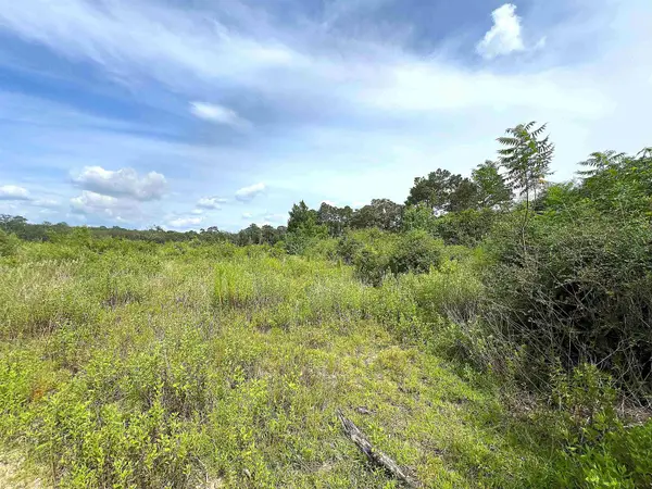 10215 E Gentry Dr, Silsbee, TX 77656