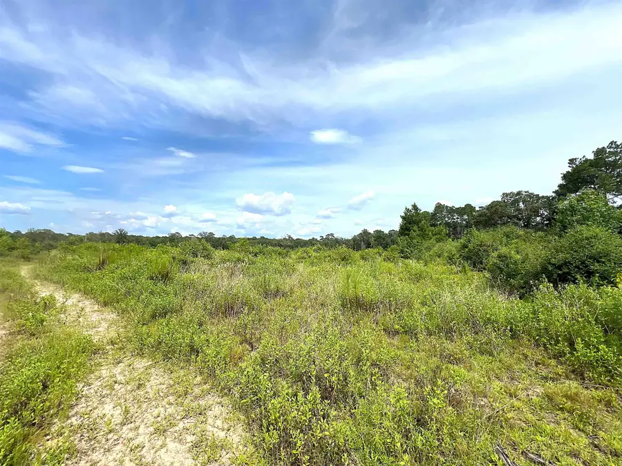 10215 E Gentry Dr, Silsbee, TX 77656 - #2