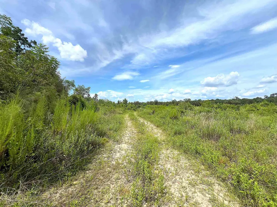 10215 E Gentry Dr, Silsbee, TX 77656 - #3
