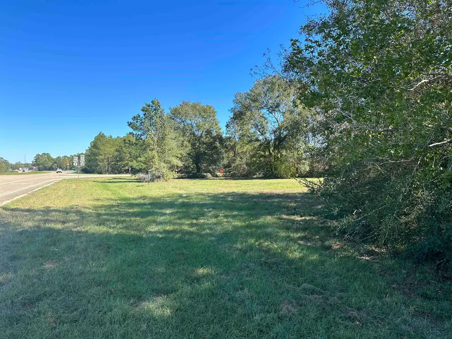 TBD Hwy 96, Buna, TX 77612 - #2