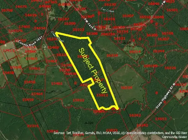 0 Hwy 87 N., Burkeville, TX 75932