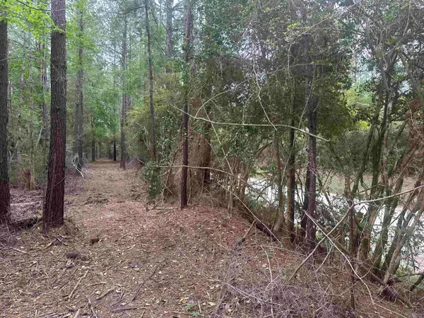 TBD CR 3114, Buna, TX 77612