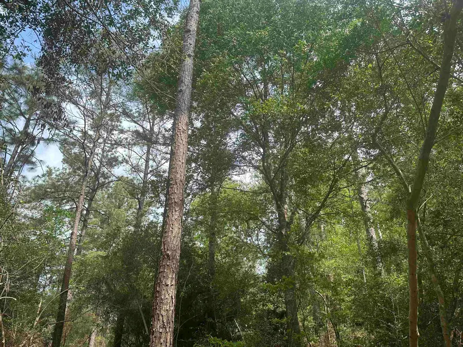TBD CR 3114, Buna, TX 77612 - #3
