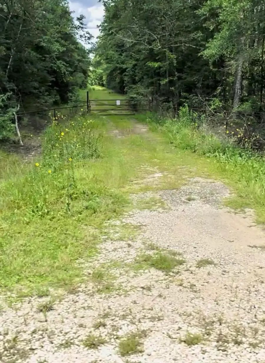 0 FM 943, Kountze, TX 77625 - #3