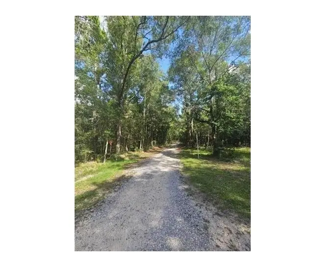 000 Gandy, Kountze, TX 77625 - #2
