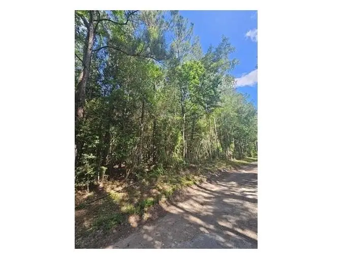 000 Gandy, Kountze, TX 77625 - #3