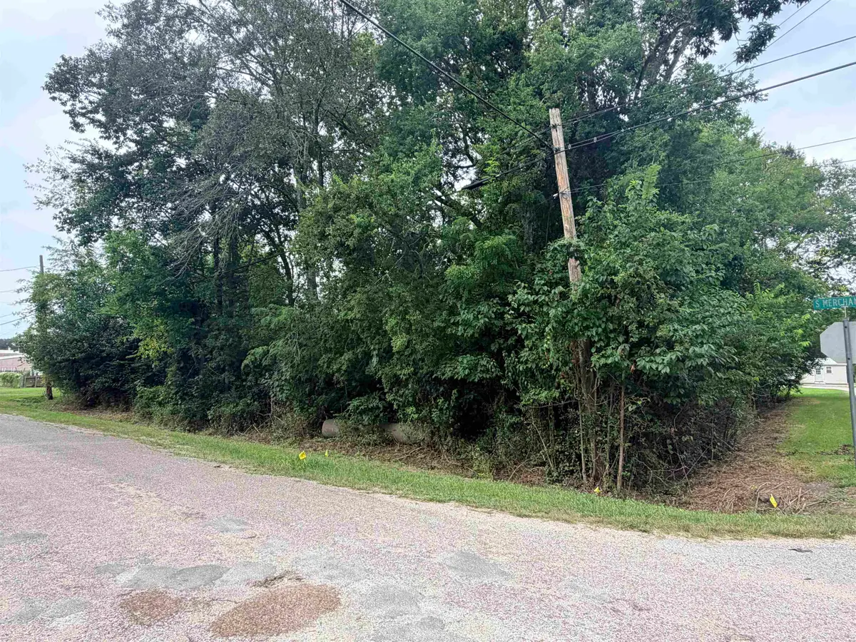 TBD Fulton St, Sour Lake, TX 77659 - #1