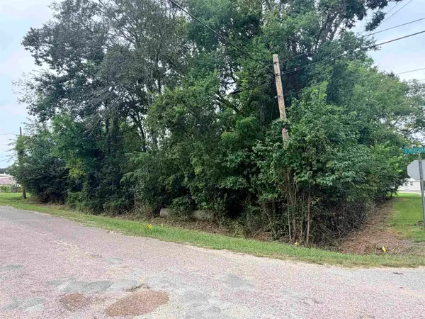 TBD Fulton St, Sour Lake, TX 77659