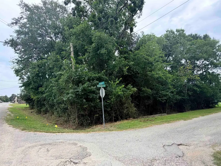 TBD Fulton St, Sour Lake, TX 77659 - #2