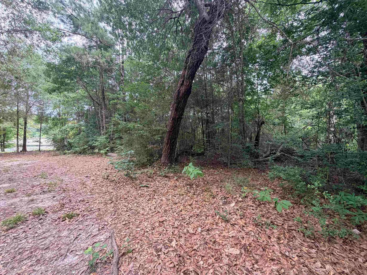 TBD Hickory Circle, Woodville, TX 75979 - #1