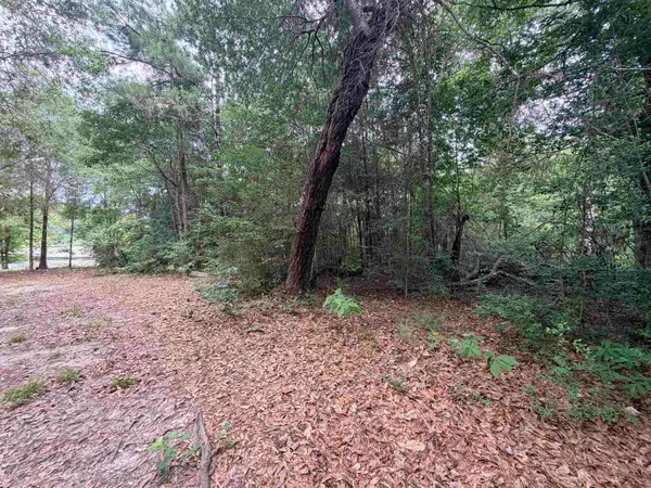 TBD Hickory Circle, Woodville, TX 75979