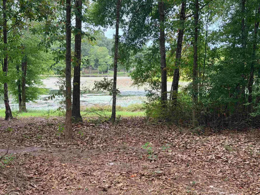 TBD Hickory Circle, Woodville, TX 75979 - #2