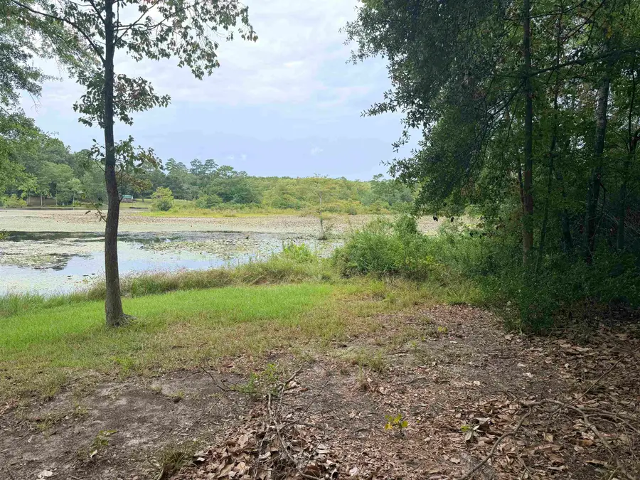 TBD Hickory Circle, Woodville, TX 75979 - #3