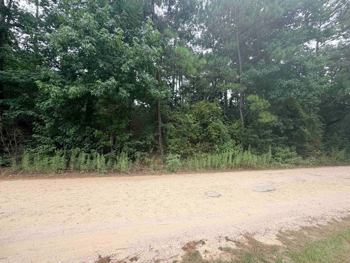 TBD Ivanhoe Dr E, Woodville, TX 75979 - #1