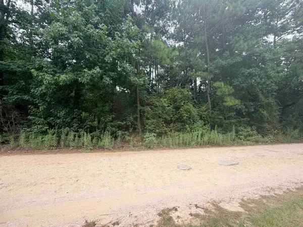 TBD Ivanhoe Dr E, Woodville, TX 75979