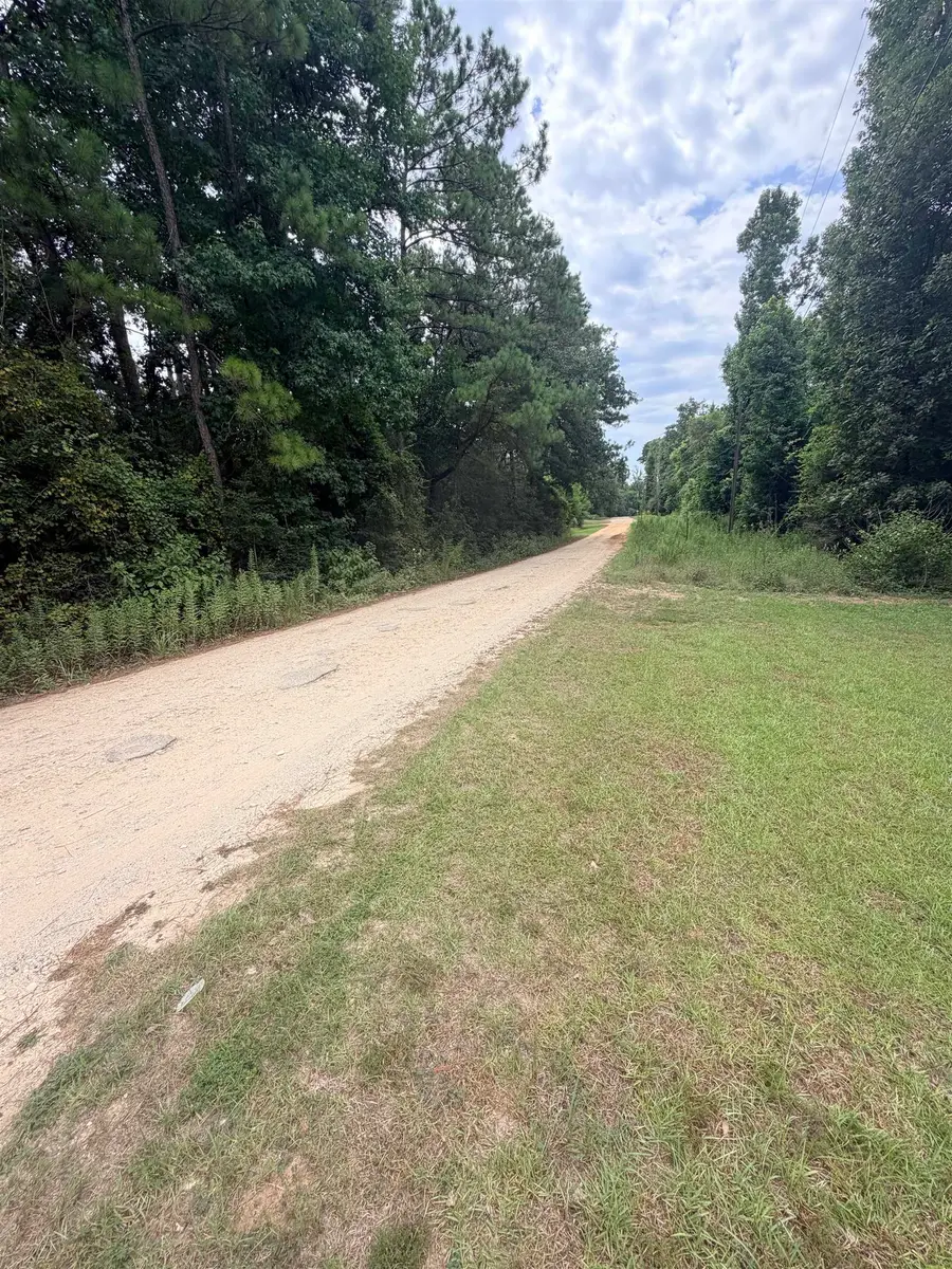 TBD Ivanhoe Dr E, Woodville, TX 75979 - #2