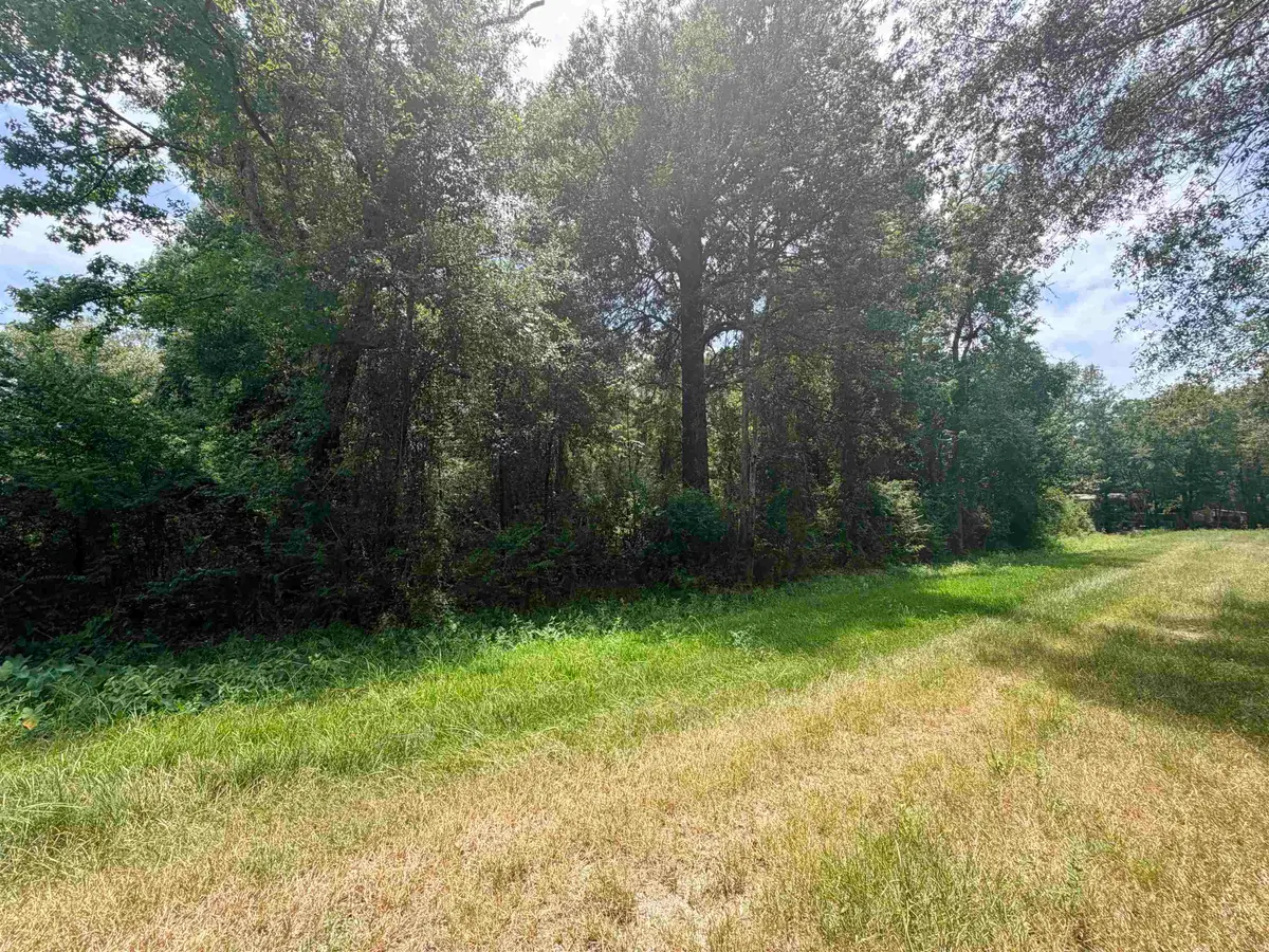 TBD Mary Beth Dr, Wildwood, TX 77663 - #1