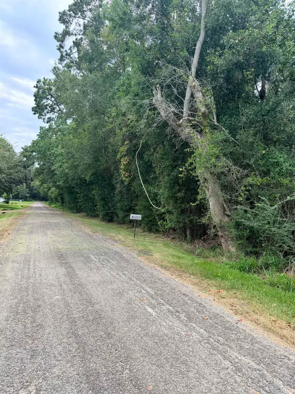 TBD5 Rollins Dr, Vidor, TX 77662