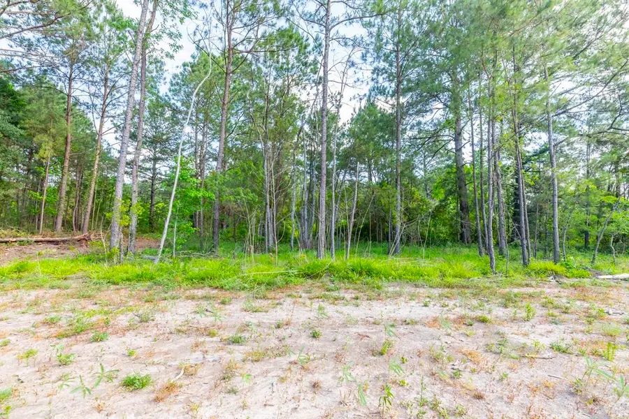 17450 Reserve Dr, Beaumont, TX 77713 - #3
