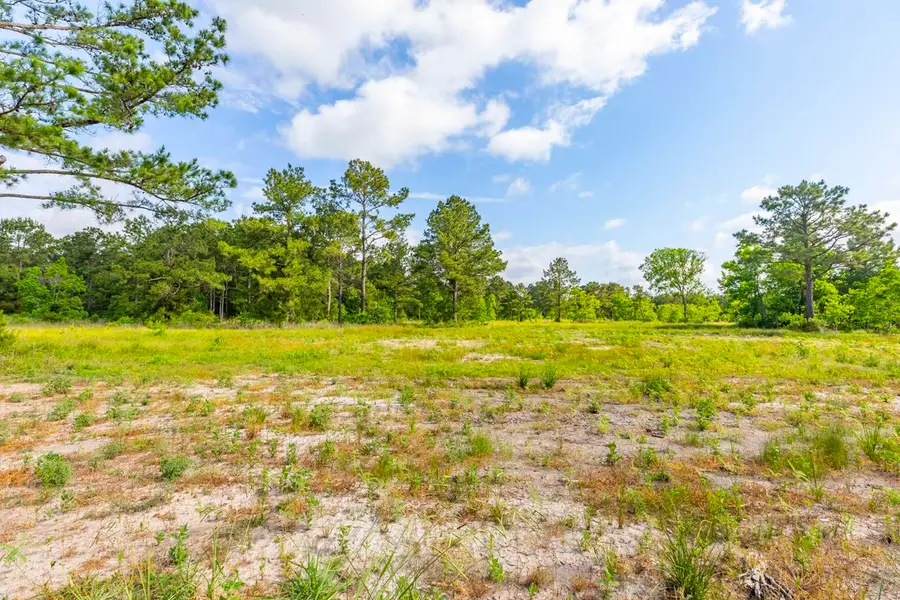 17465 Reserve Dr, Beaumont, TX 77713 - #2