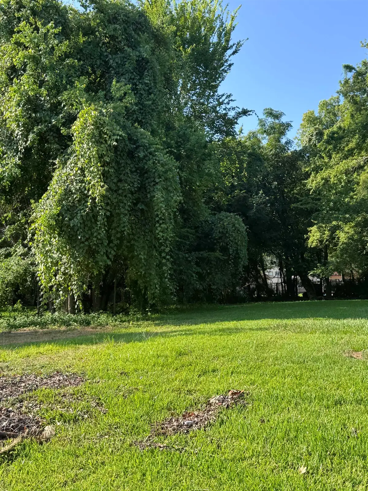 910 Sherman St, Beaumont, TX 77701 - #1