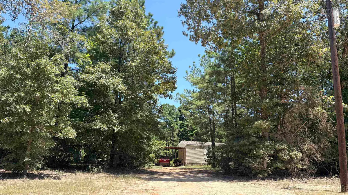 391 Deer Country, Chester, TX 75936 - #1