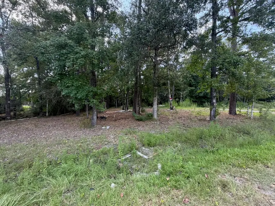 6277 Stones Throw Dr, Silsbee, TX 77656 - #3