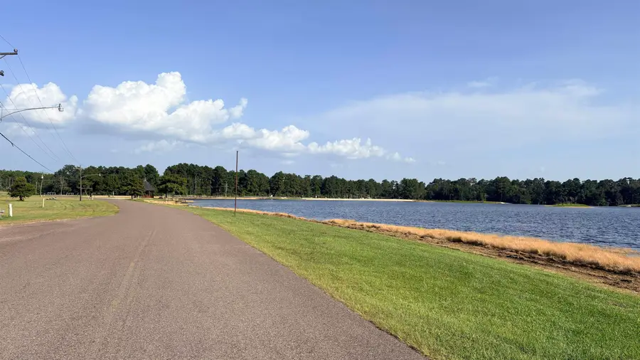 LOT 19 Silver Birch, Village Mills, TX 77663 - #2