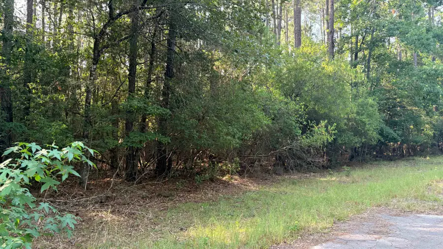 LOT 19 Silver Birch, Village Mills, TX 77663 - #3