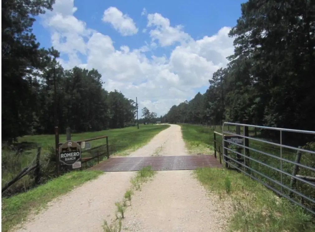 17514 Como Ln, Sour Lake, TX 77659 - #1