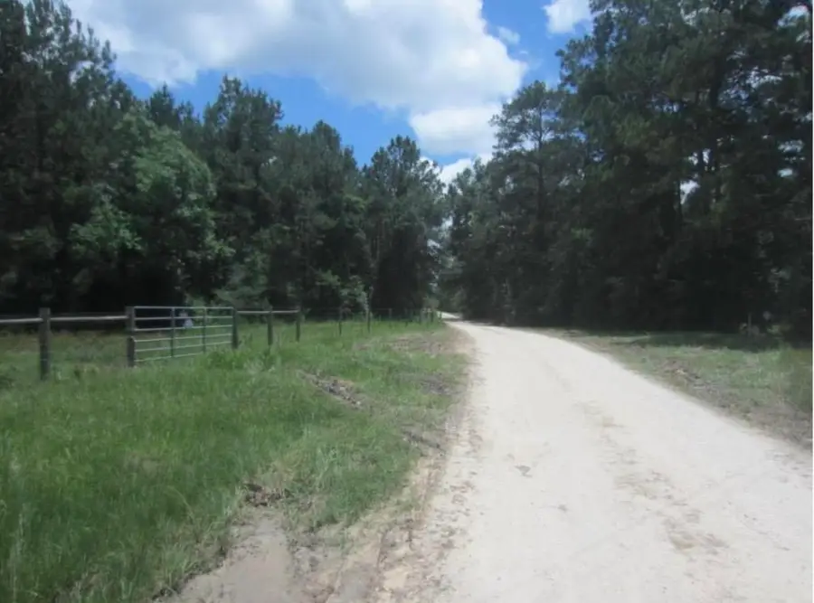 17514 Como Ln, Sour Lake, TX 77659 - #3