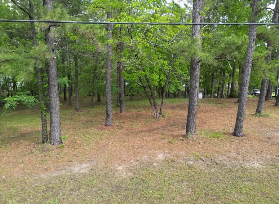 139 Spunks Way, Hemphill, TX 75498 - #3