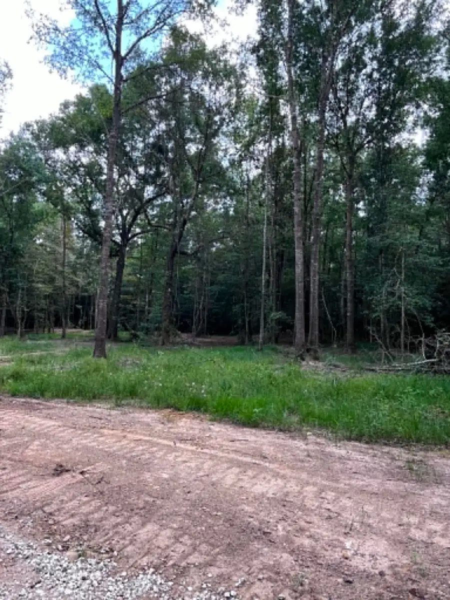 174 Gerald Street, Vidor, TX 77662-0000 - #2