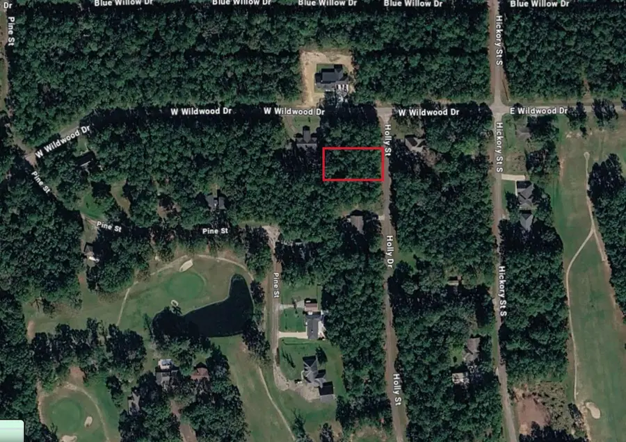 00 W WILDWOOD DR., Village Mills, TX 77663-0000 - #2