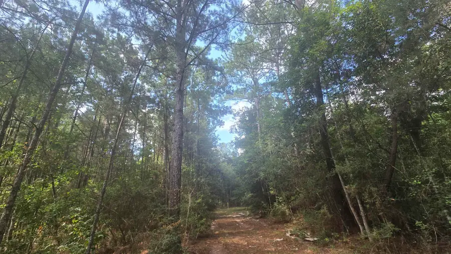0000 Bourlon Rd, Silsbee, TX 77656 - #2