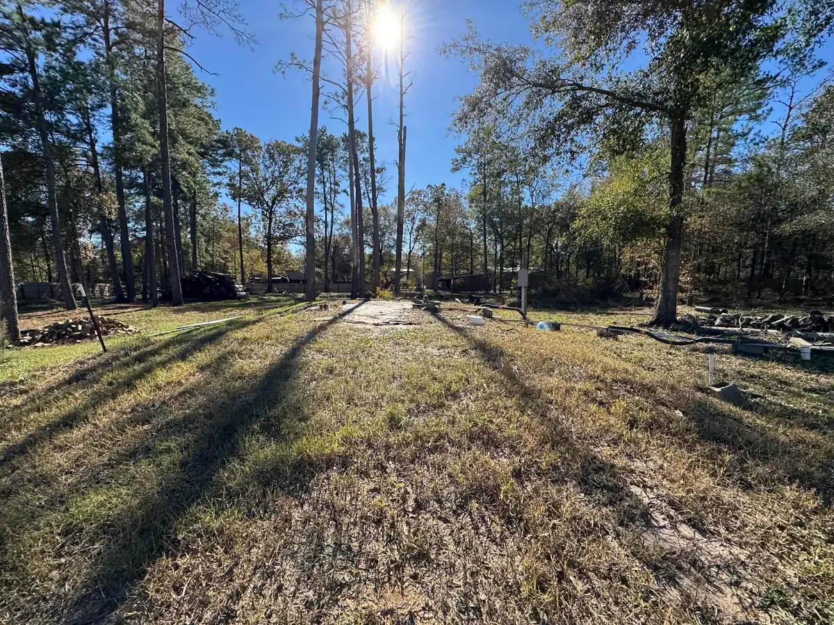 13465 Inwood Drive, Bevil Oaks, TX 77713 - #1