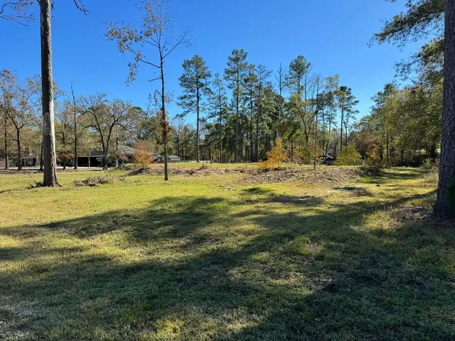 13465 Inwood Drive, Bevil Oaks, TX 77713 - #2